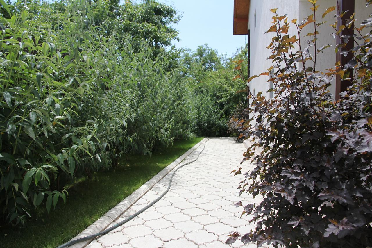 Guest House Leto Dolinka 외부 사진